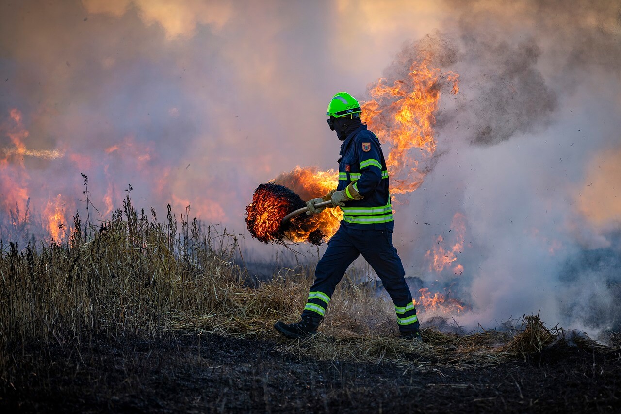 prescribed fire