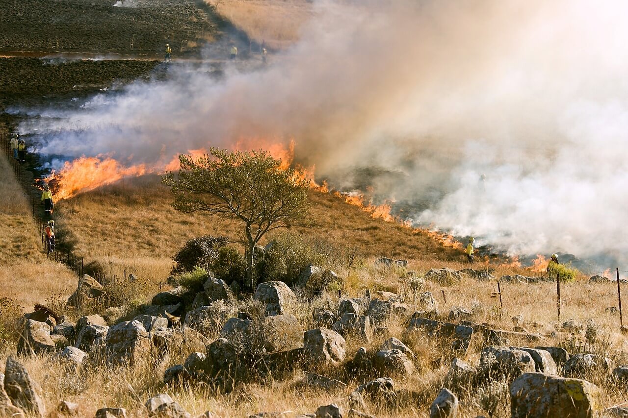 wildfire control line