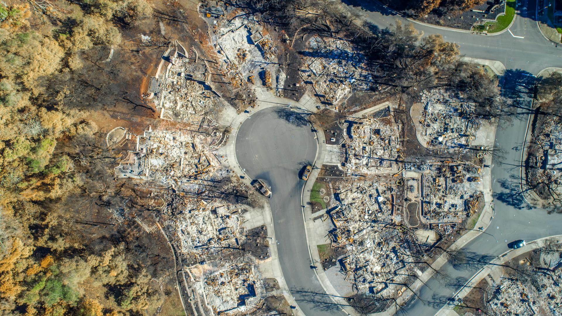 What happens after a wildfire