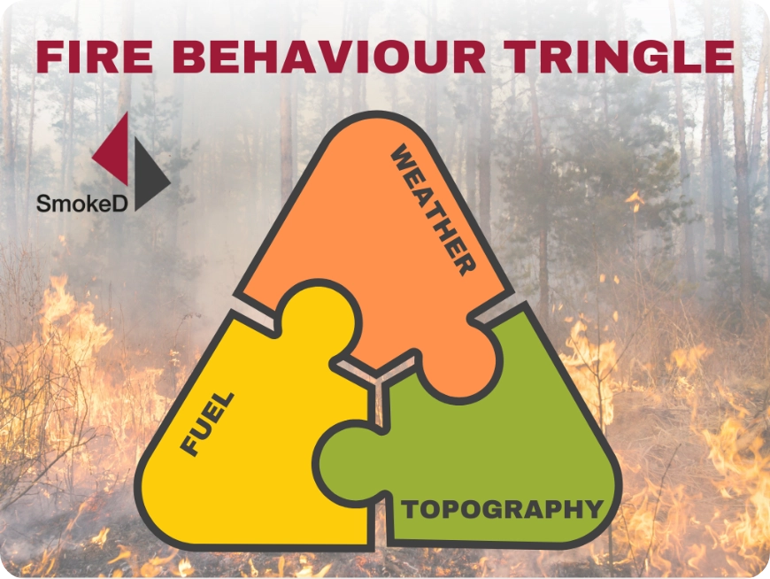 Fire Behavior Triangle