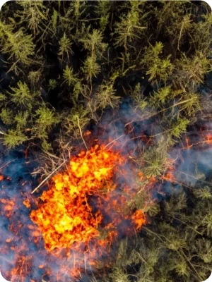 The Growing Threat of Wildfires
