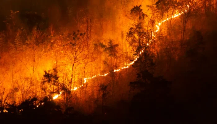 Climate Change Wildfires: Understanding the Growing Threat