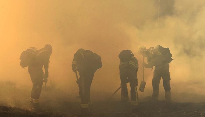 Forest Camp 2025 – An International Fire Laboratory in the Heart of Poland