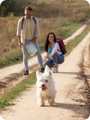 Keeping Your Family and Pets Together During Evacuation