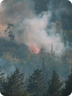 Recognizing Evacuation Warnings and Orders