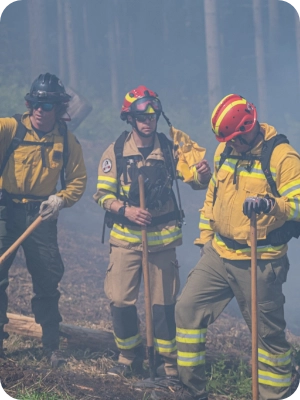 Wildland Firefighter Training Requirements