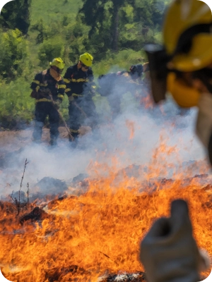 Wildland Firefighter - Types of Training Programs