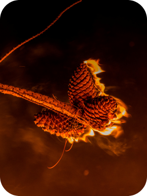 Challenges of Long-Range Spotting and Firefighting Strategy