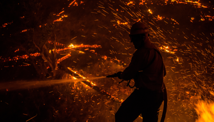 Jumping Fire: a few words about firebrands