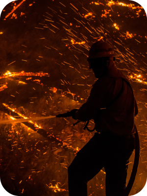 Mechanics and Behavior of Firebrands
