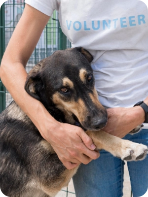 Support Animal Relief