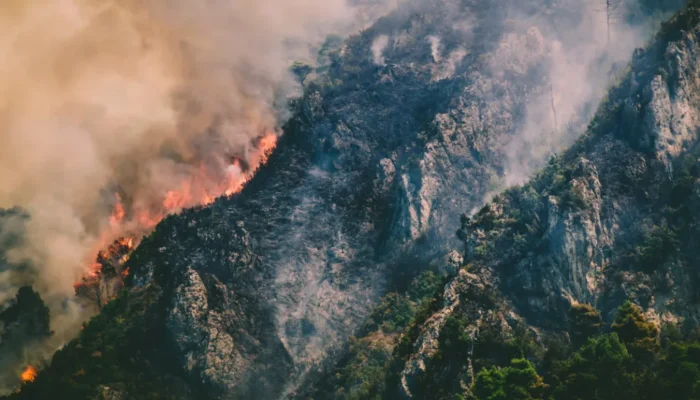 The Science of Fire Spread: Heat Transfer Explained