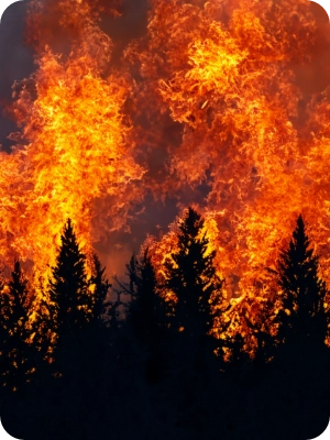 Peak Blaze