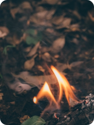 The Spark