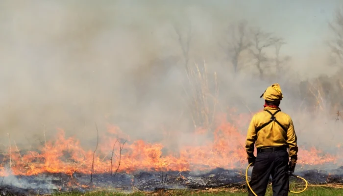 Why Prescribed Burns Are Essential for Forest Health