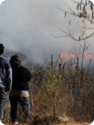 Understanding Wildfire Tourism