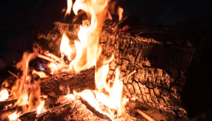 Hands That Ignite: Why Humans Cause Nearly All US Wildfires