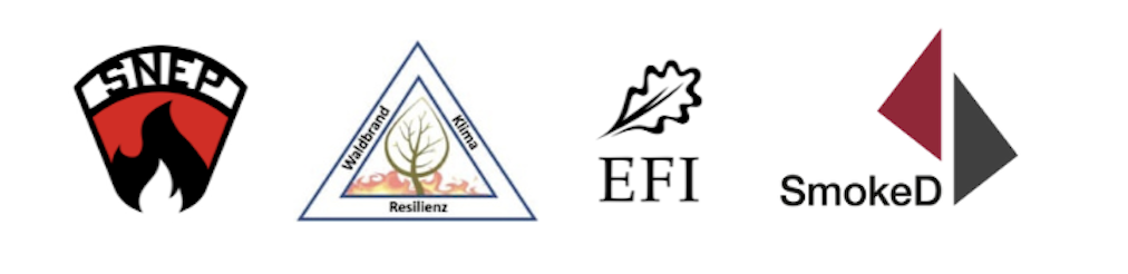 Logo - EFI, SmokeD, SNEP, Waldbrand