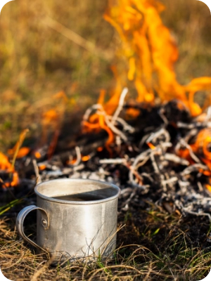 A new study reveals that human activity is responsible for 84% of wildfires, igniting nearly five out of every six fires and extending the fire season by months.