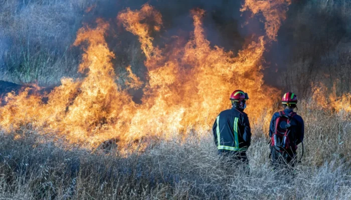 How Smoke Affects Firefighter Decision-Making and Safety