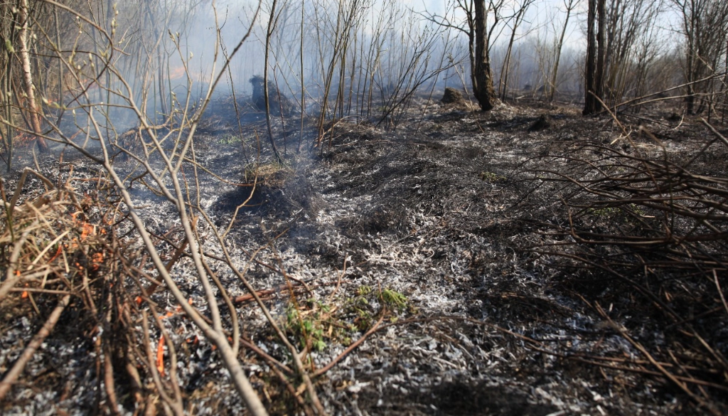 Peat Fires: Detection, Risks & Early Suppression