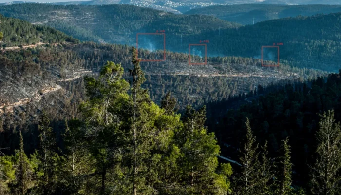 We learn fire together – Explore our wildfire webinars