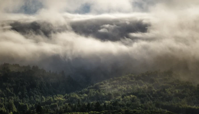 How Atmospheric Rivers Influence Wildfire Seasons