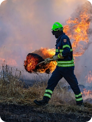 Firefighters use controlled burns to safely clear excess vegetation and reduce future wildfire risks.