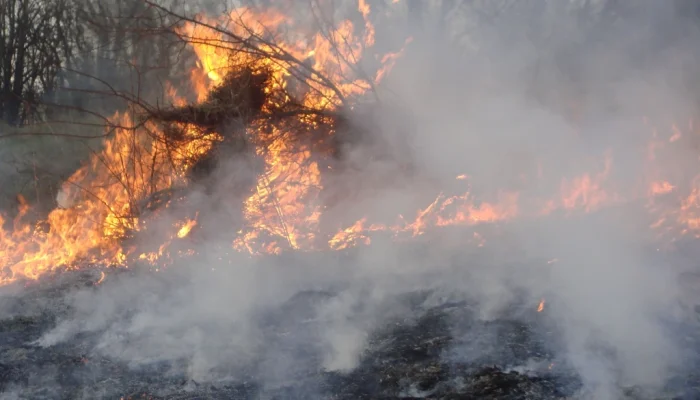From Heatwave to Megafire