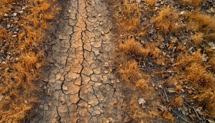 How Drought Cycles - Create Fire Corridors - Across Continents